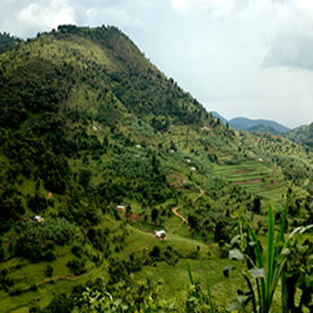 Eco Tours Uganda